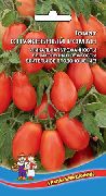 http://www.solnsad.ru/image-pomidory/1750_1803_sm.jpg