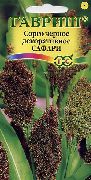 fénykép barna Növény Seprű Kukorica