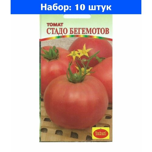     10   () - 10     -     , -, 