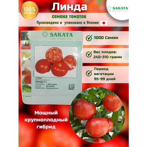   F1 -  , 1 000 , Sakata seeds/  ()   -     , -, 