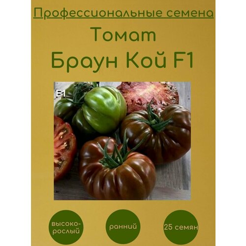     F1 25    -     , -, 