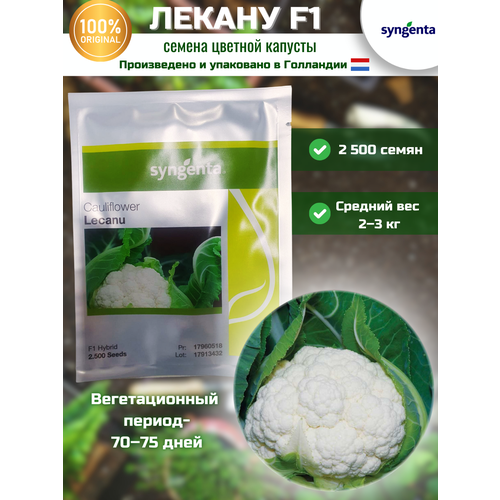   F1 -  , 2 500 , SYNGENTA/ ()   -     , -, 