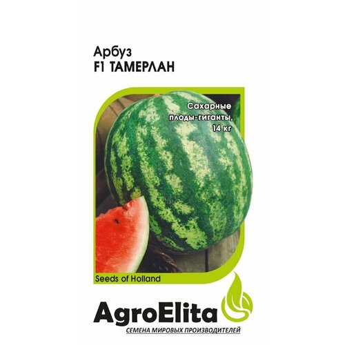     F1, 5, AgroElita, Nunhems   -     , -, 