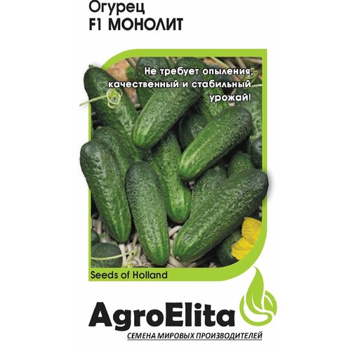     F1, 5, AgroElita, Nunhems   -     , -, 