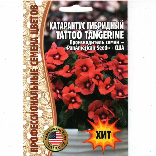   TATTOO TANGERINE 1,  ( 1 : 5  )   -     , -, 