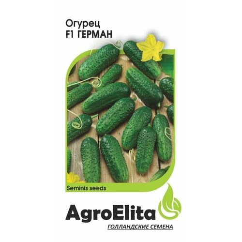     F1 . . (AgroElita) 5 ()   -     , -, 