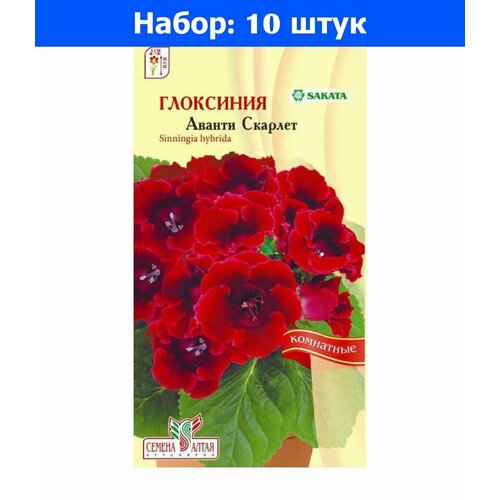     F1 8  ( ) - 10     -     , -, 