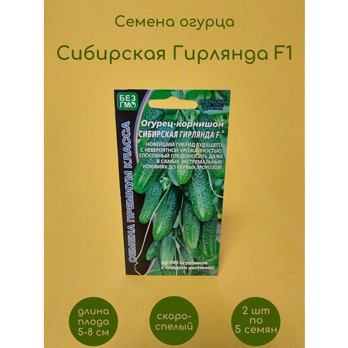     F1 2   5    -     , -, 