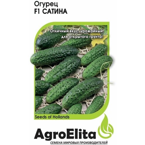     F1, 5, AgroElita, Nunhems   -     , -, 