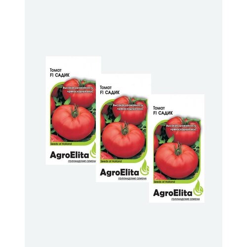     F1, 5, AgroElita, Seminis(3 )   -     , -, 