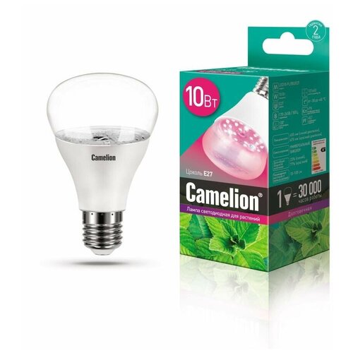      Camelion LED10-PL/BIO/E27 10 220 13241 15788882   -     , -, 