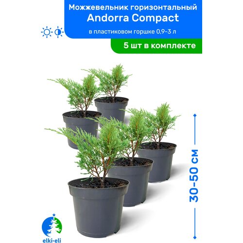    Andorra Compact ( ) 30-50     0,9-3 , ,   ,   5    -     , -, 