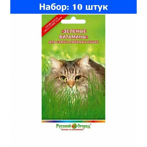        10 () - 10     -     , -, 