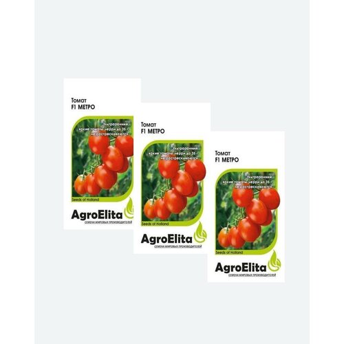     F1, 5, AgroElita, Nunhems(3 )   -     , -, 