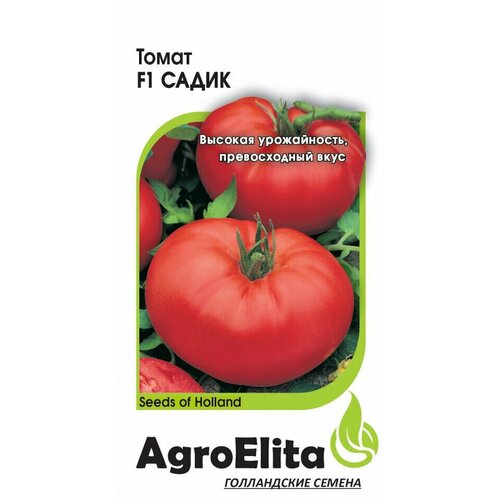     F1, 5, AgroElita, Seminis   -     , -, 