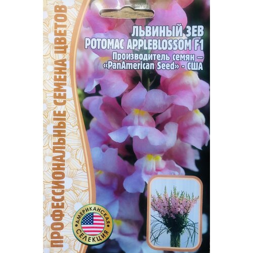     ()  (Antirrhinum majus Potomac) Potomac Appleblossom F1 (5 )   -     , -, 