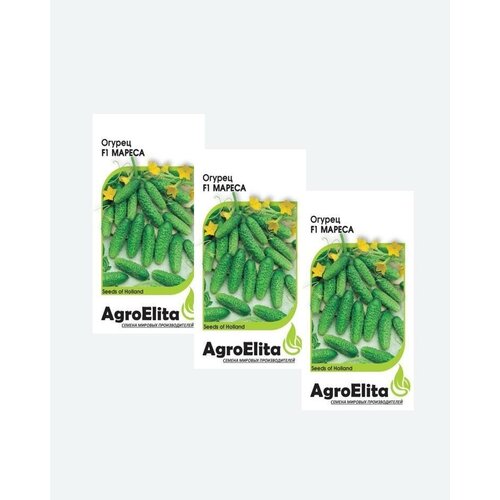     F1, 5, AgroElita, Seminis(3 )   -     , -, 