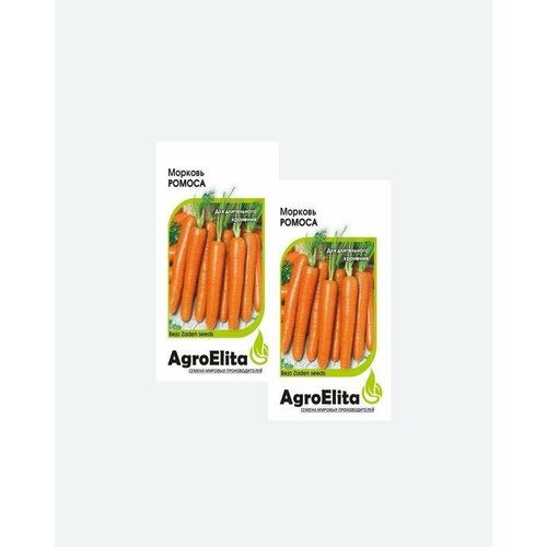    , 0,5, AgroElita, Bejo(2 )   -     , -, 