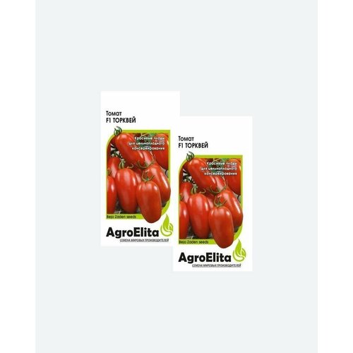     F1, 10, AgroElita, Bejo(2 )   -     , -, 