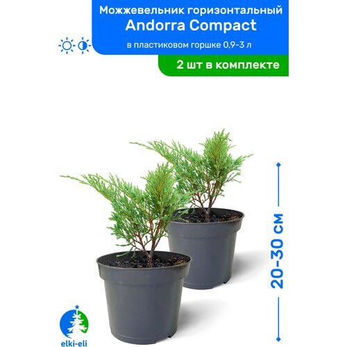    Andorra Compact ( ) 20-30     0,9-3 , ,   ,   2    -     , -, 