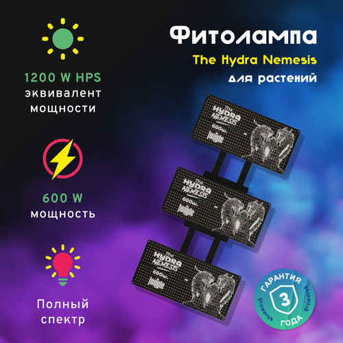  LED  The Hydra Nemesis 600W       -     , -, 