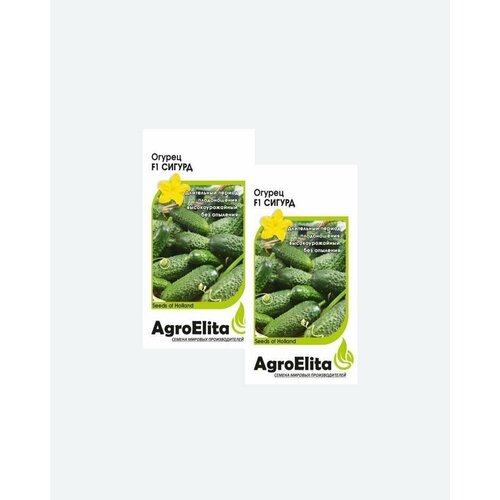     F1, 5, AgroElita, Enza Zaden(2 )   -     , -, 