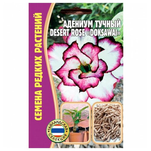     DESERT ROSE 