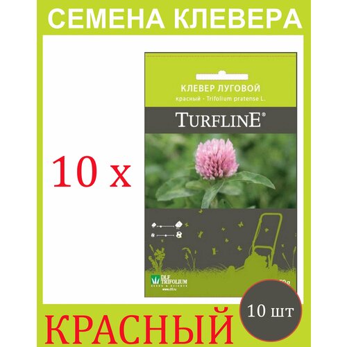         Trifolium Protense L TURFLINE DLF 500  (50 . - 10 ),   2682 