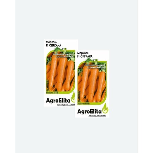     F1, 0,3, AgroElita, Nunhems(2 )   -     , -, 