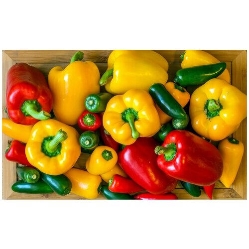     (. Bulgarian pepper)  25   -     , -, 
