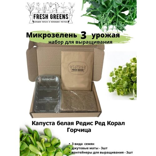      Fresh Greens (     )   -     , -, 