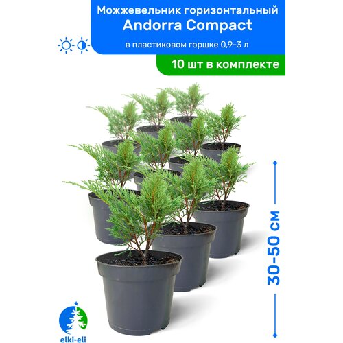    Andorra Compact ( ) 30-50     0,9-3 , ,   , 10    -     , -, 