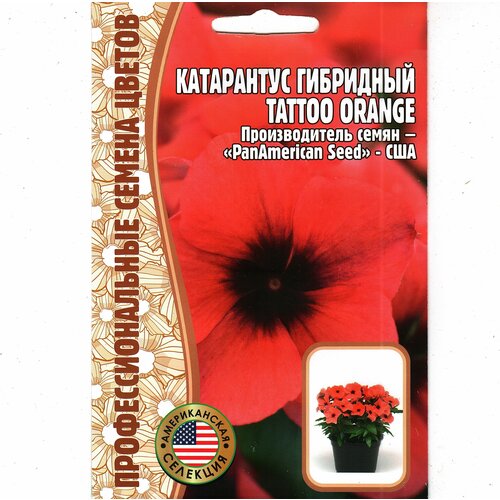    Tattoo Orange ( 1 : 5  )   -     , -, 