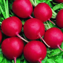 ����������, ��������, ���� ������ ������