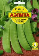 Сахарный принц