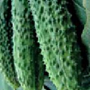 Король Рынка F1