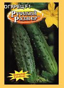 Русский размер F1