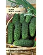 Белая ночь F1