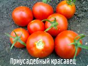 Приусадебный красавец