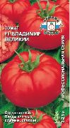 Владимир Великий F1