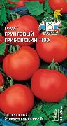 Грунтовый Грибовский 1180