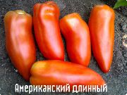Американский длинный