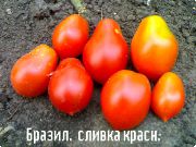 Бразильская сливка красная