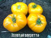 Золотая оперетта