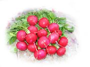 ������ F1