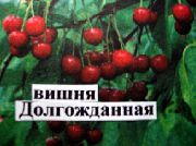 Долгожданная