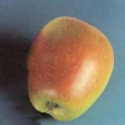 Россошанское вкусное