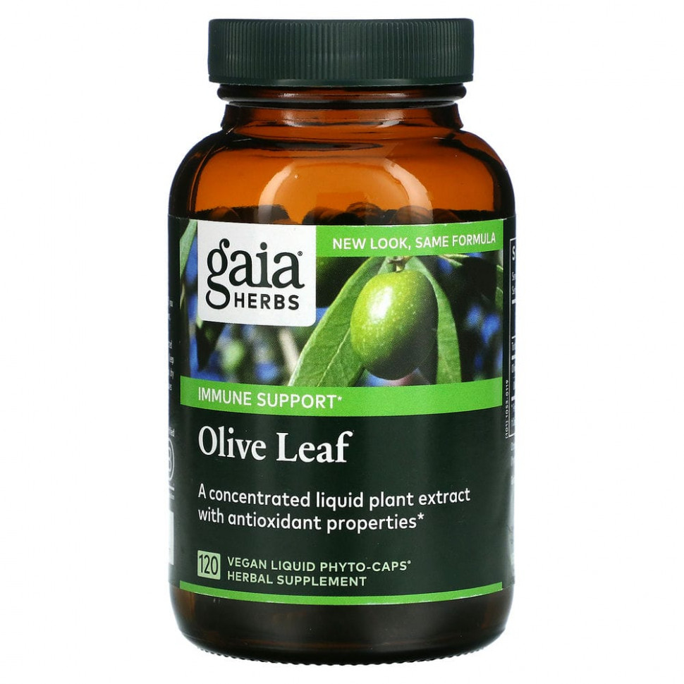 ���� ������ (Iherb) Gaia Herbs, ���� �����, 120 ��������� ����-������ � ���������, ������ �� 7240 ���