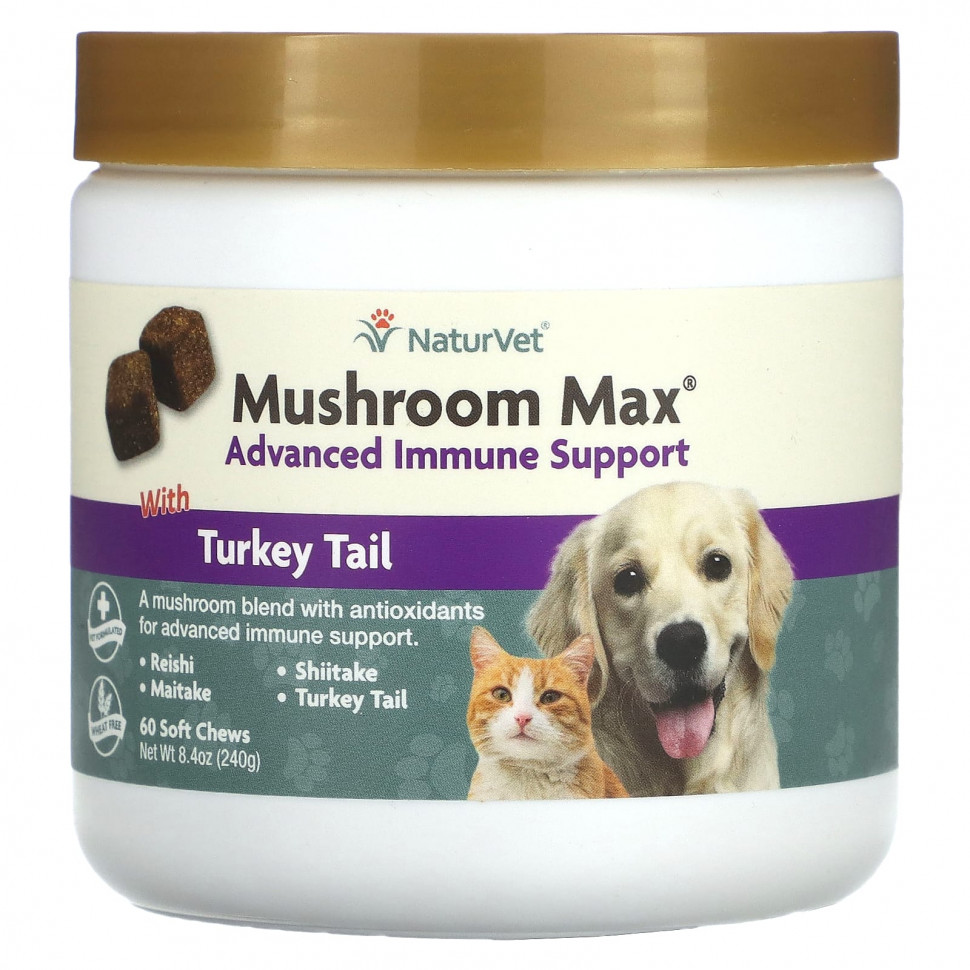 ���� ������ (Iherb) NaturVet, Mushroom Max, ���������� ��������� ���������� � ������������ �������, ��� ����� � �����, 60 ����������� ��������, 240 � (8,4 �����), ������ �� 4420 ���