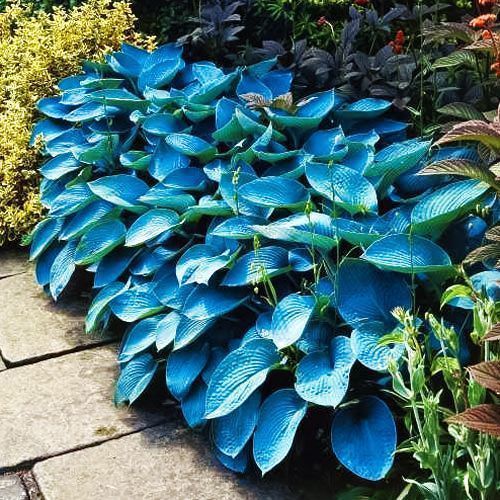 ����  ����� ��� �����, ������ �� 640 ���